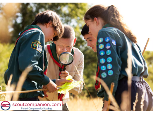 Problem solving in Leadership Skills Scouts