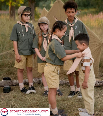 Trustworthiness in Leadership Skills Scouts