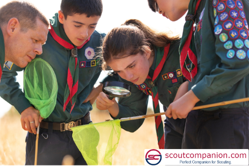 Read more about the article 10 Essential Skills Every Scout Should Master