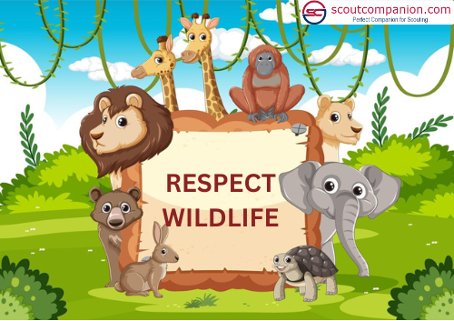 10 Scouting safety tips-Respect wildLife