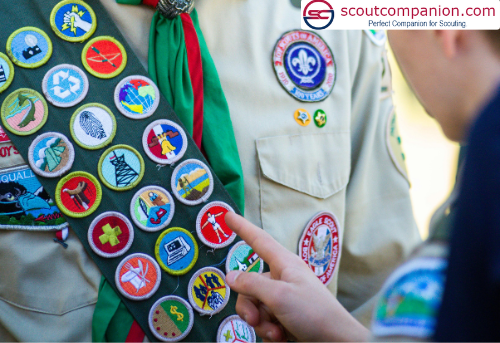 Types of Merit Badges in Scouting