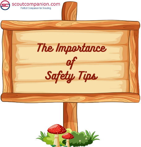 10 Scouting safety tips-importance of safety tips