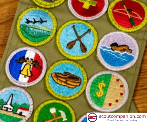 fun merit badge activities at home