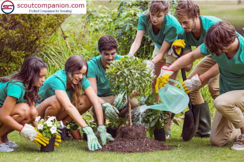 Conservation Projects for Scouts-Planting Trees