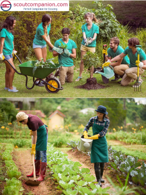 Conservation Projects for Scouts - Gardening and Farming