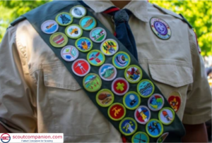 Read more about the article Tips for Earning Your First Merit Badge