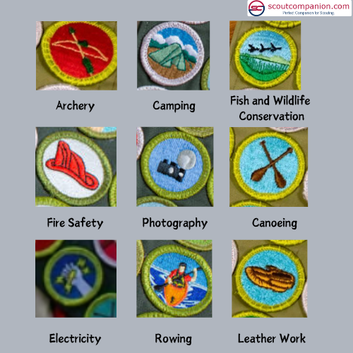 Tips For Earning First Merit Badge - List of Few Elective Badges